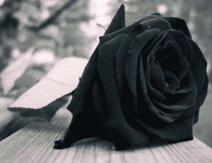 Acompañamiento psicológico en el duelo